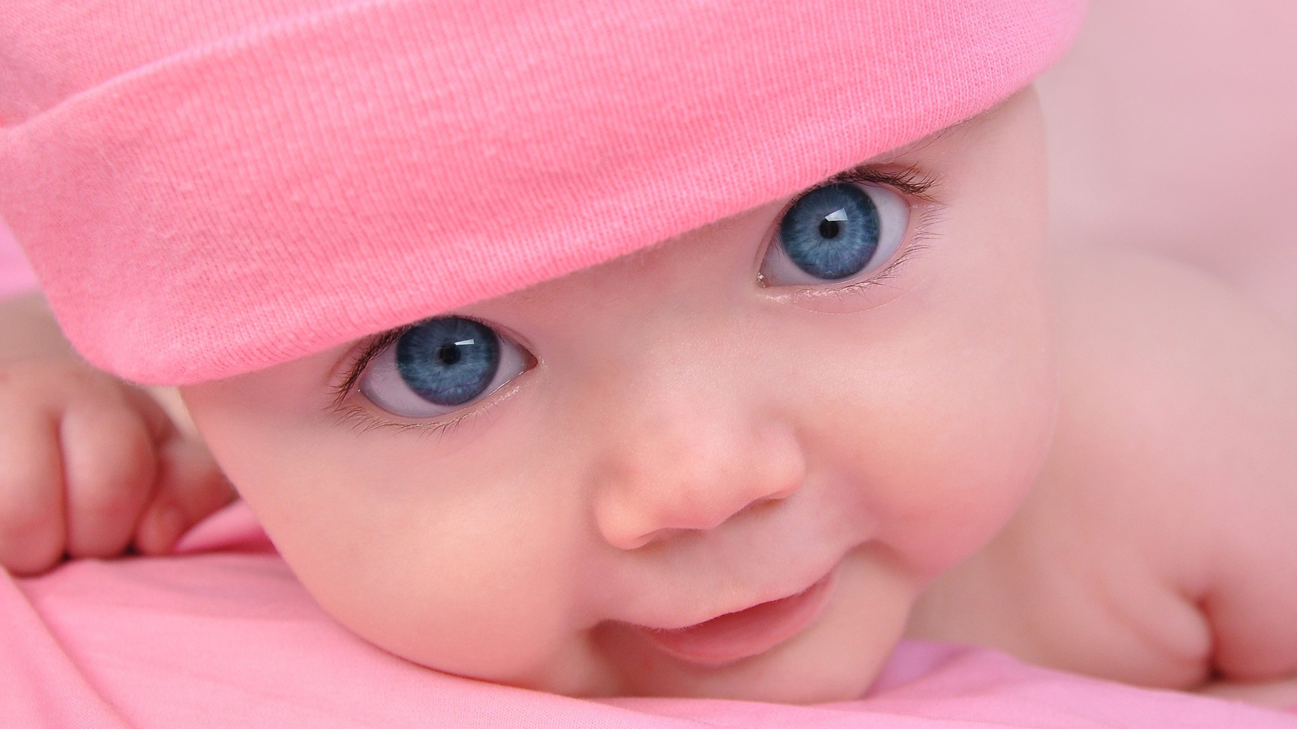 供卵代怀做试管婴儿成功率多少